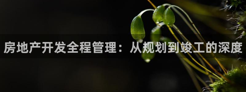 新宝5找找74OOO5：房地产开发全程管理：从规划到竣工的深