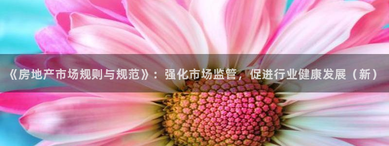 新宝5娱乐登录：《房地产市场规则与规范》：强化市场监管，促进
