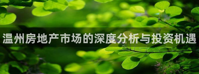 新宝5 注册：温州房地产市场的深度分析与投资机遇