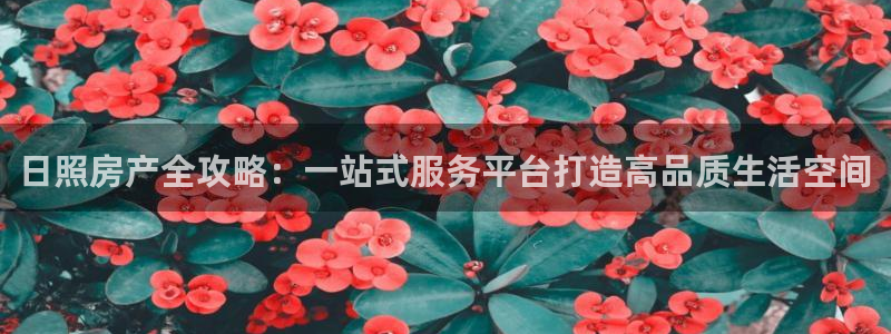 新宝5彩票平台登陆