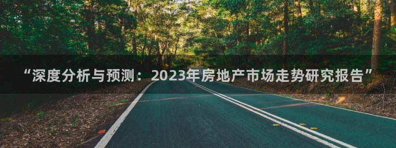 新宝5注册链接：“深度分析与预测：2023年房地产市场走势研