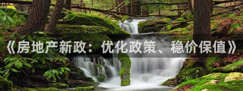 新宝5彩票平台登陆：《房地产新政：优化政策、稳价保值》