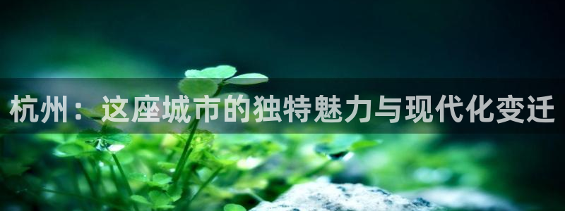 新宝5如何注册登录：杭州：这座城市的独特魅力与现代化变迁