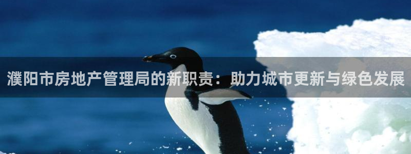新宝5登录不了：濮阳市房地产管理局的新职责：助力城市更新与绿