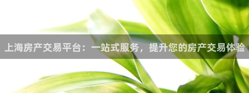 新宝5注册首页：上海房产交易平台：一站式服务，提升您的房产交