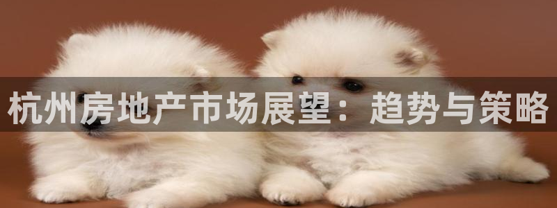 新宝5官方下载地址：杭州房地产市场展望：趋势与策略