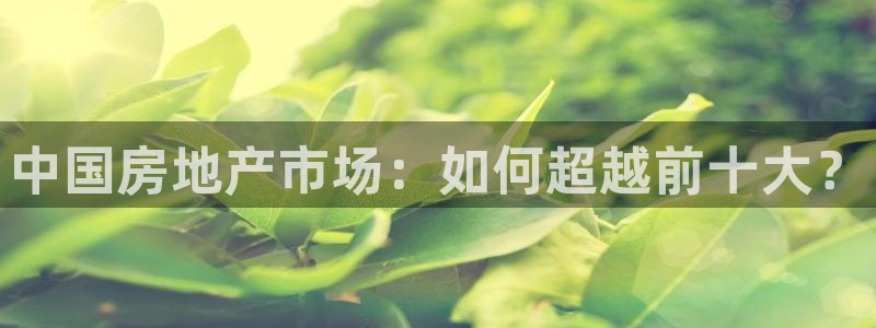 新宝5链接