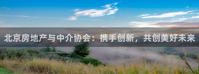 新宝5五：北京房地产与中介协会：携手创新，共创美好未来