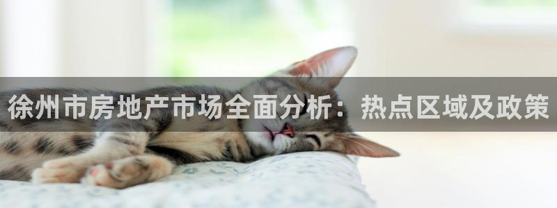 股票5G宝新：徐州市房地产市场全面分析：热点区域及政策