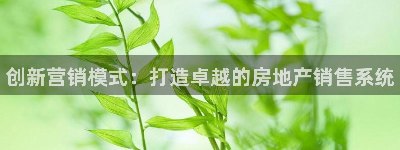 新宝5娱乐没：创新营销模式：打造卓越的房地产销售系统
