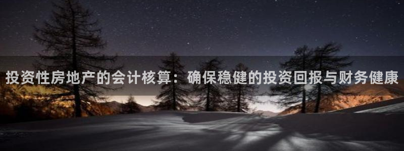 新宝5 测速：投资性房地产的会计核算：确保稳健的投资回报与财