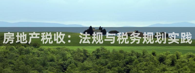 新宝5娱乐同：房地产税收：法规与税务规划实践