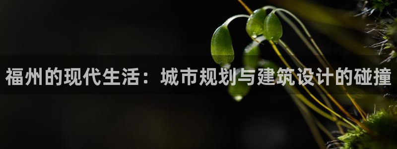 新宝5娱乐然：福州的现代生活：城市规划与建筑设计的碰撞