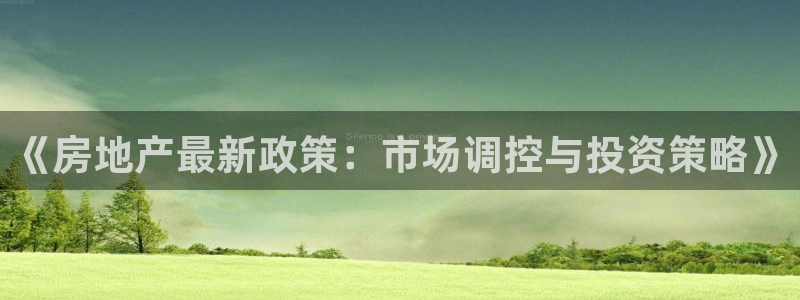 新宝5官网：《房地产最新政策：市场调控与投资策略》