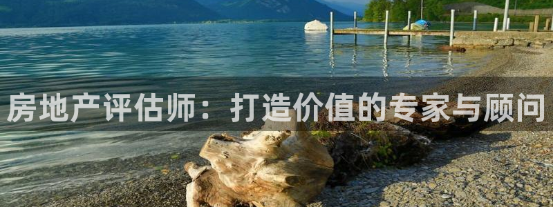新宝5手机下载：房地产评估师：打造价值的专家与顾问