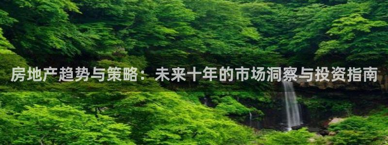 新宝6霸哥5：房地产趋势与策略：未来十年的市场洞察与投资指南