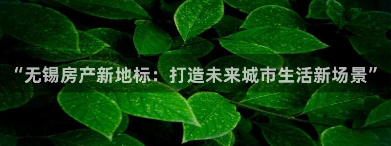 新宝5飞355051：“无锡房产新地标：打造未来城市生活新场