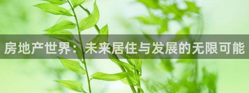 新宝5导师：房地产世界：未来居住与发展的无限可能