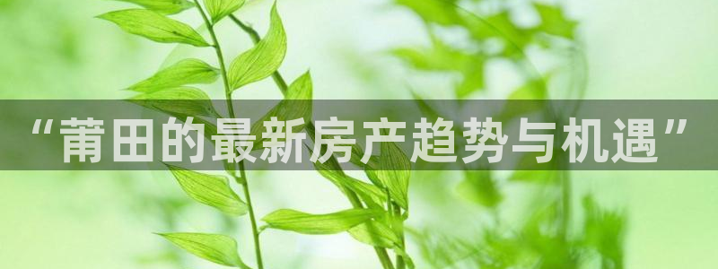 新宝5注册账号：“莆田的最新房产趋势与机遇”