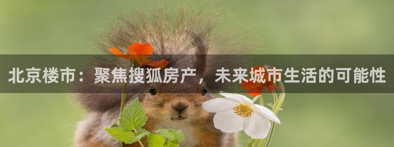 新宝堂新会陈皮5年：北京楼市：聚焦搜狐房产，未来城市生活的可