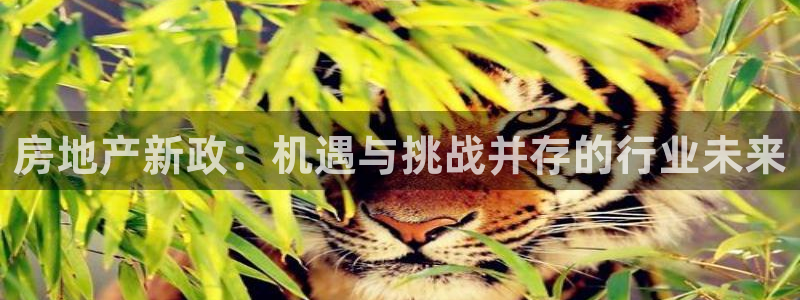 新宝5招商：房地产新政：机遇与挑战并存的行业未来