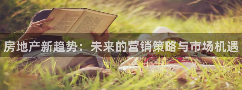 新宝5地址：房地产新趋势：未来的营销策略与市场机遇