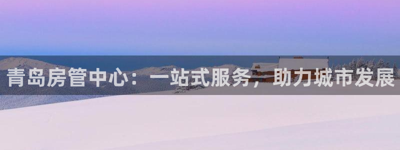 新宝5天：青岛房管中心：一站式服务，助力城市发展