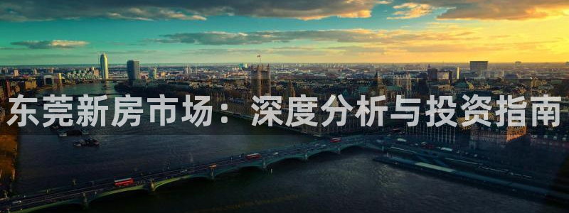 新宝5app