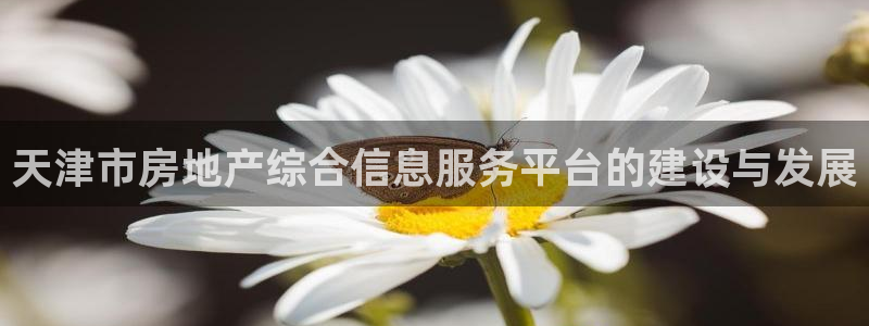 新宝5可靠吗：天津市房地产综合信息服务平台的建设与发展
