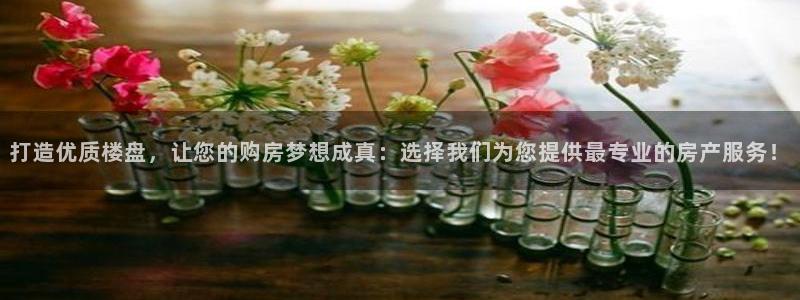 新宝奇迹GG5：打造优质楼盘，让您的购房梦想成真：选择我们为