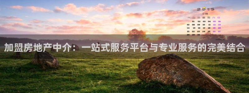 新宝5平台注册资金：加盟房地产中介：一站式服务平台与专业服务