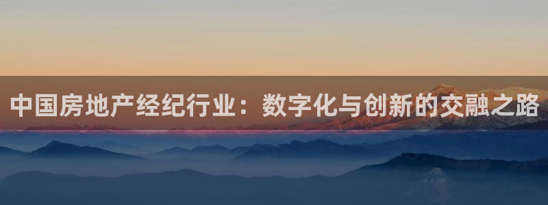 新宝5娱乐登录：中国房地产经纪行业：数字化与创新的交融之路