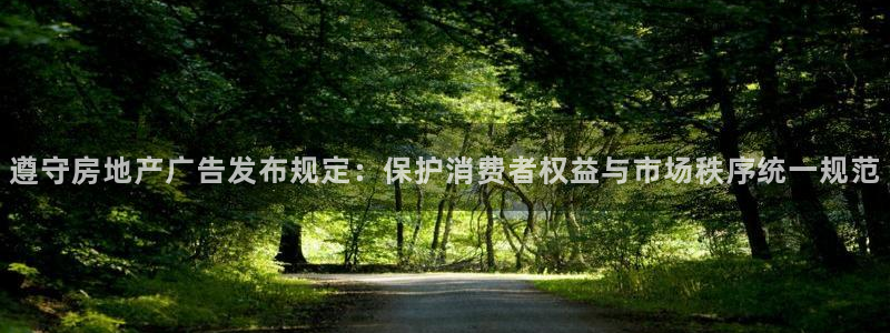 新宝5手机测速：遵守房地产广告发布规定：保护消费者权益与市场