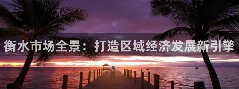 新宝5登录入口网址：衡水市场全景：打造区域经济发展新引擎