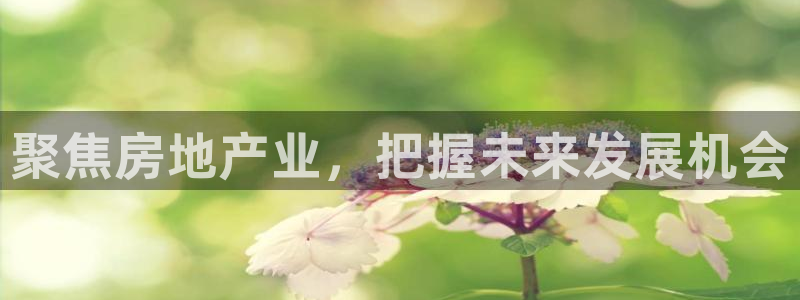 新宝股东张听2 5 5：聚焦房地产业，把握未来发展机会