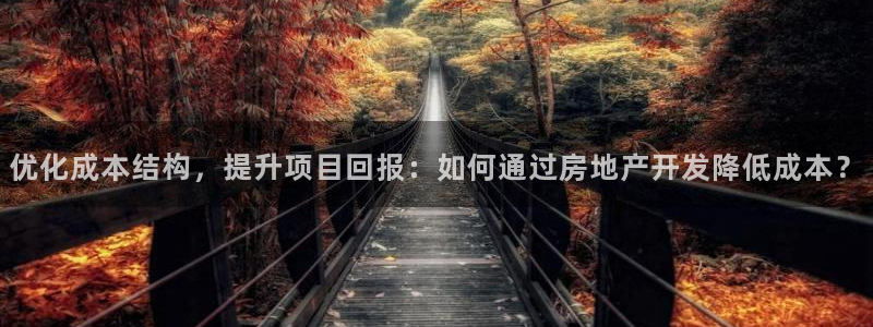 新宝5怎么代理：优化成本结构，提升项目回报：如何通过房地产开