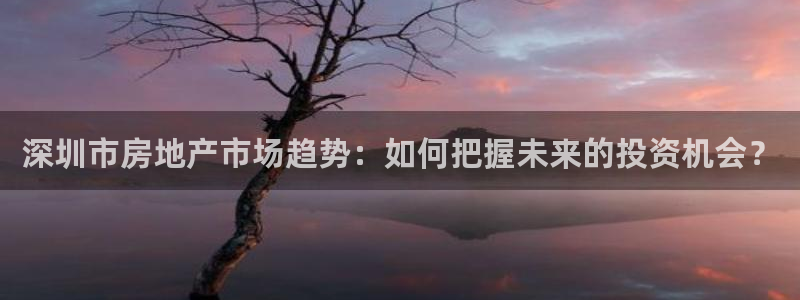 新宝5下载网址：深圳市房地产市场趋势：如何把握未来的投资机会