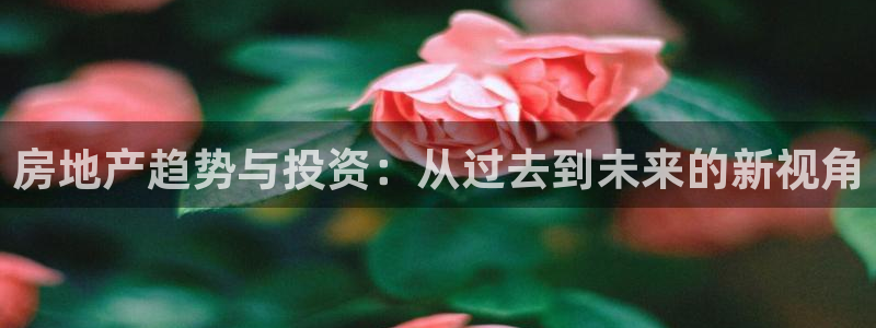 新宝5娱乐代理：房地产趋势与投资：从过去到未来的新视角