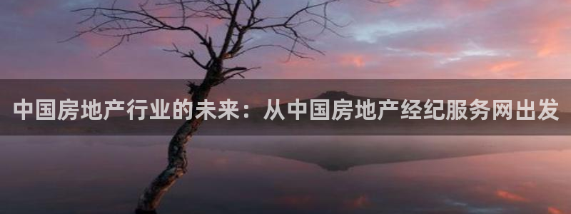 新宝集团新宝5：中国房地产行业的未来：从中国房地产经纪服务网