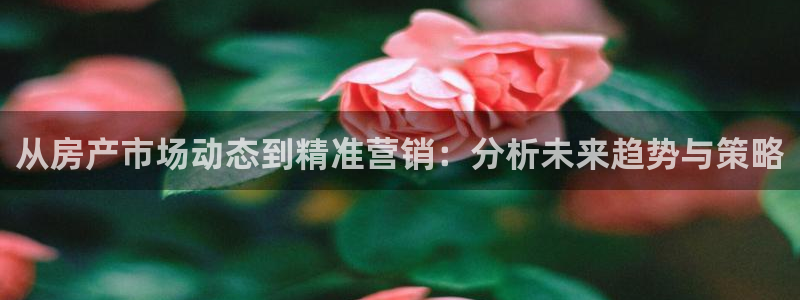 新宝5骗术：从房产市场动态到精准营销：分析未来趋势与策略