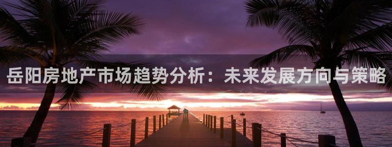 新宝5湫333 00：岳阳房地产市场趋势分析：未来发展方向与