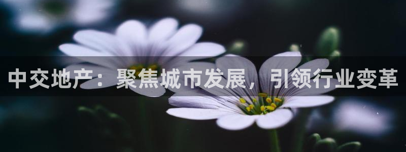 新宝5测：中交地产：聚焦城市发展，引领行业变革