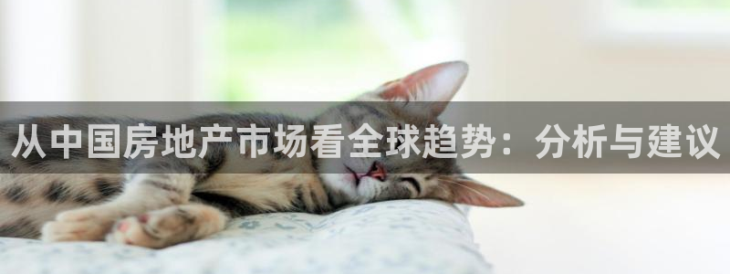 i新宝5：从中国房地产市场看全球趋势：分析与建议