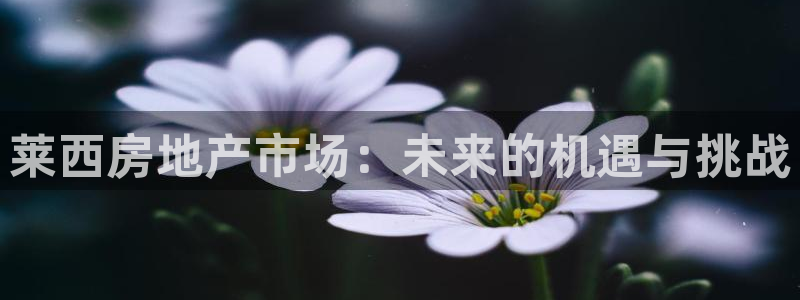 新宝5彩票平台登陆：莱西房地产市场：未来的机遇与挑战