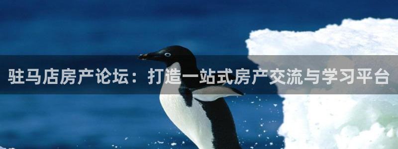新宝5手机平台登陆：驻马店房产论坛：打造一站式房产交流与学习