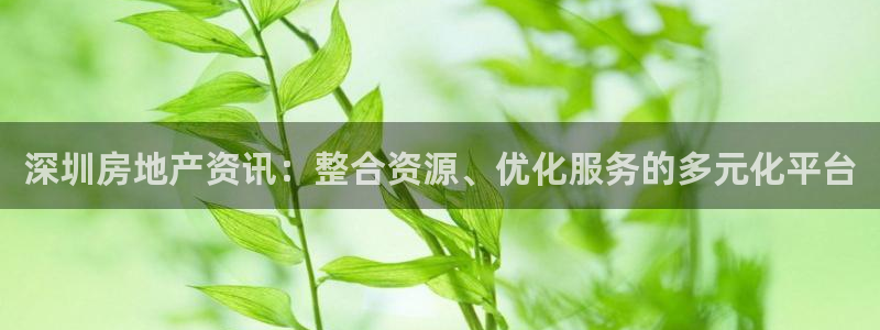 新宝5谠631257：深圳房地产资讯：整合资源、优化服务的多