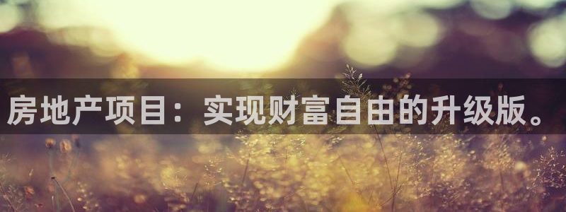 新宝5下载：房地产项目：实现财富自由的升级版。