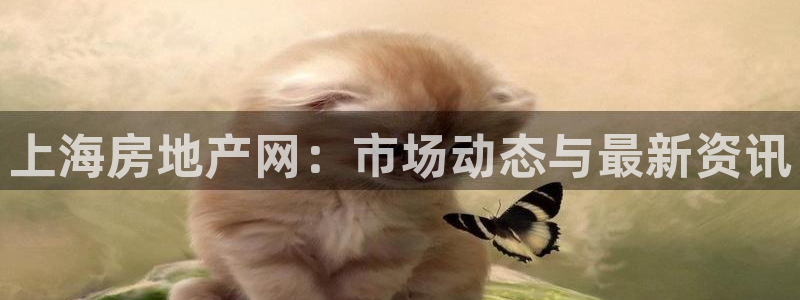 新宝5官网app