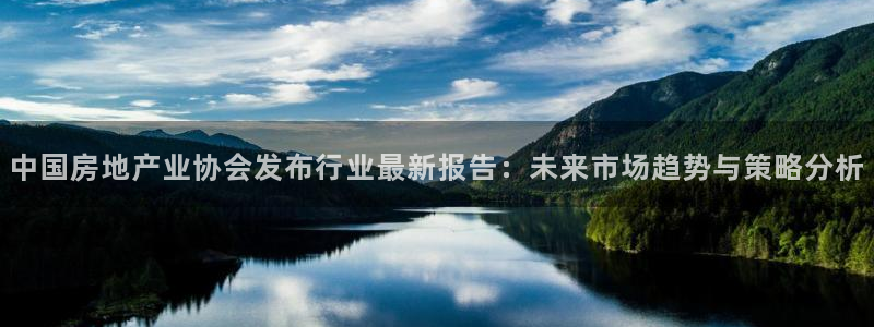 新宝5娱乐家：中国房地产业协会发布行业最新报告：未来市场趋势
