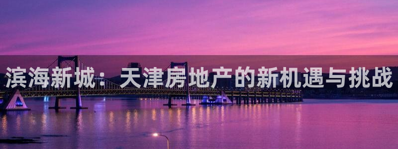 新宝5台卡：滨海新城：天津房地产的新机遇与挑战